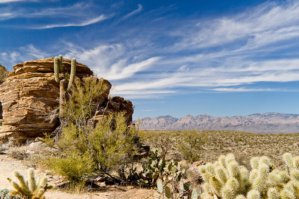Large rock and cacti under a bright blue sky in Saguaro National Park East 