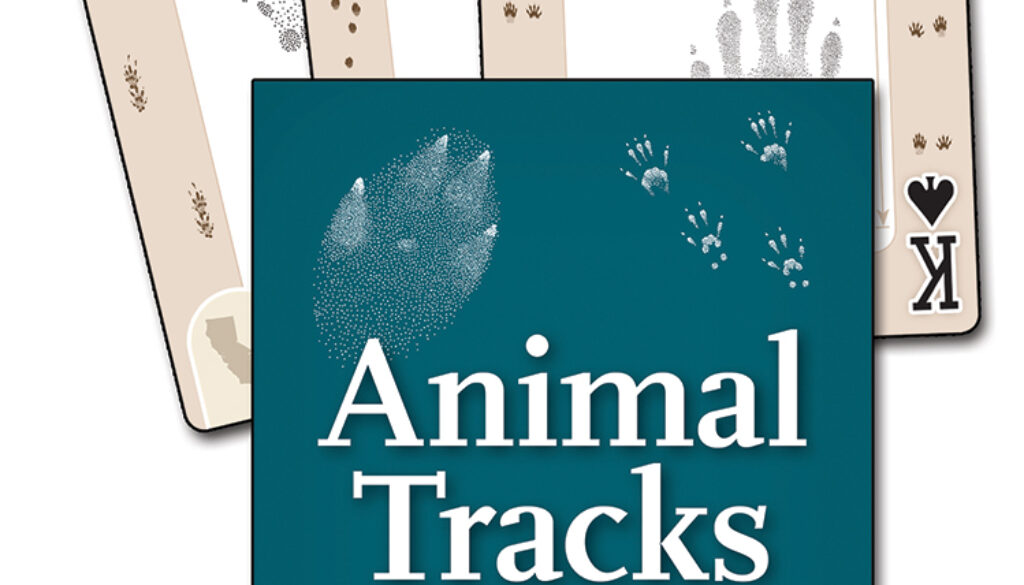 animal_tracks_of_california_playing_cards_9781591937395_FC.jpg