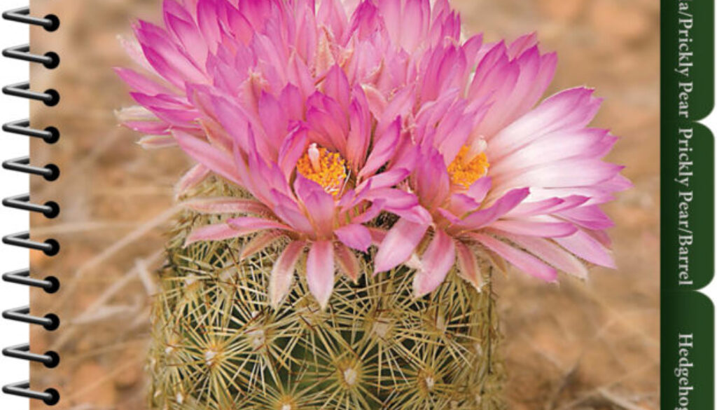 cactus_of_the_southwest_9781591935827_FC.jpg