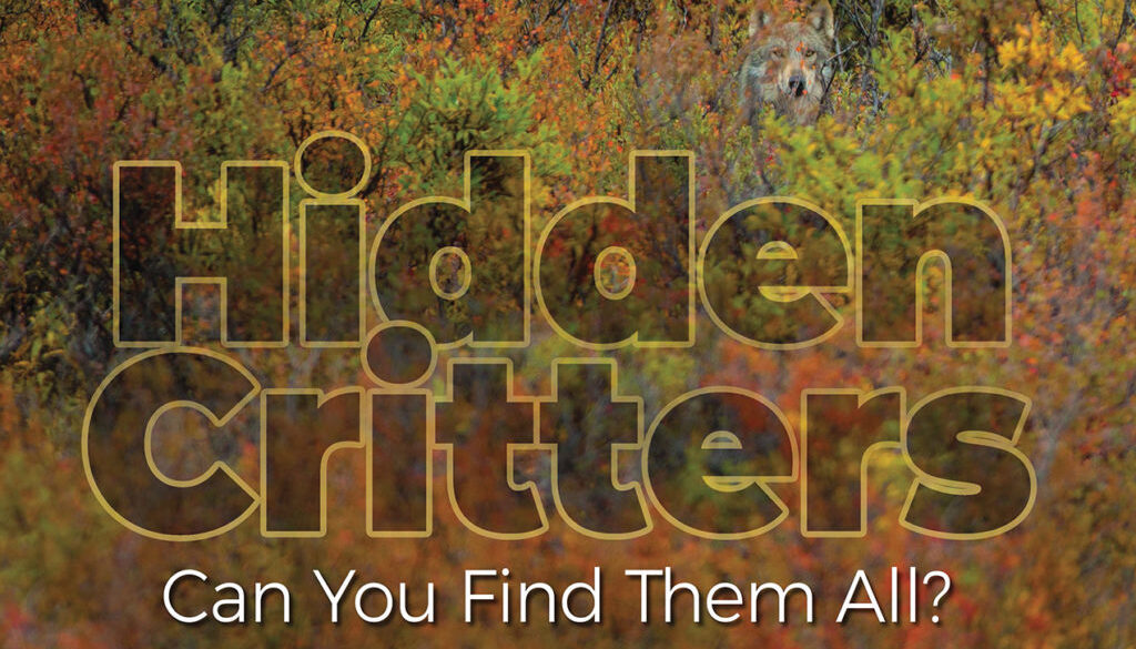 hidden_critters_9781591938125_FC-1.jpg