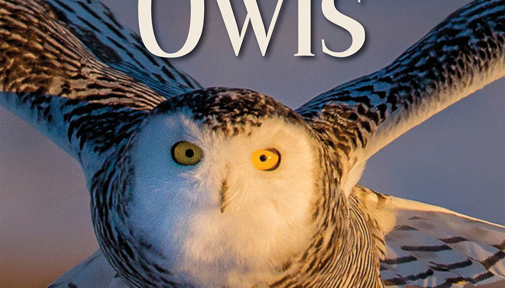 our_love_of_owls_9781591938132_FC.jpg