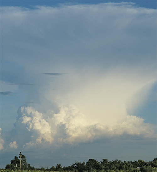A massive Cumulonimbus cloud hovering in the sky.