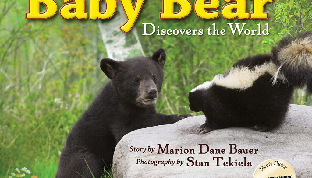 baby_bear_discovers_the_world_9781591931652_FC