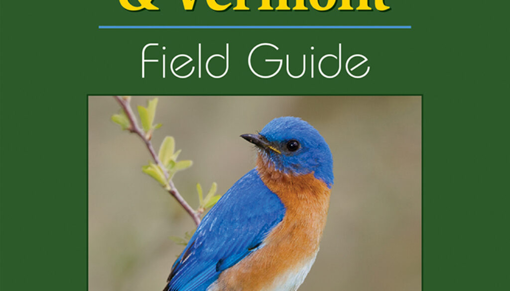 birds_of_new_hampshire_and_vermont_FG_9781591936404_FC