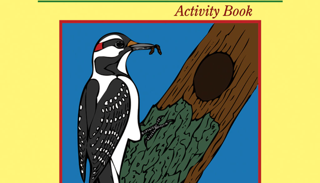 birds_of_the_northwoods_activity_book_9781591931669_FC