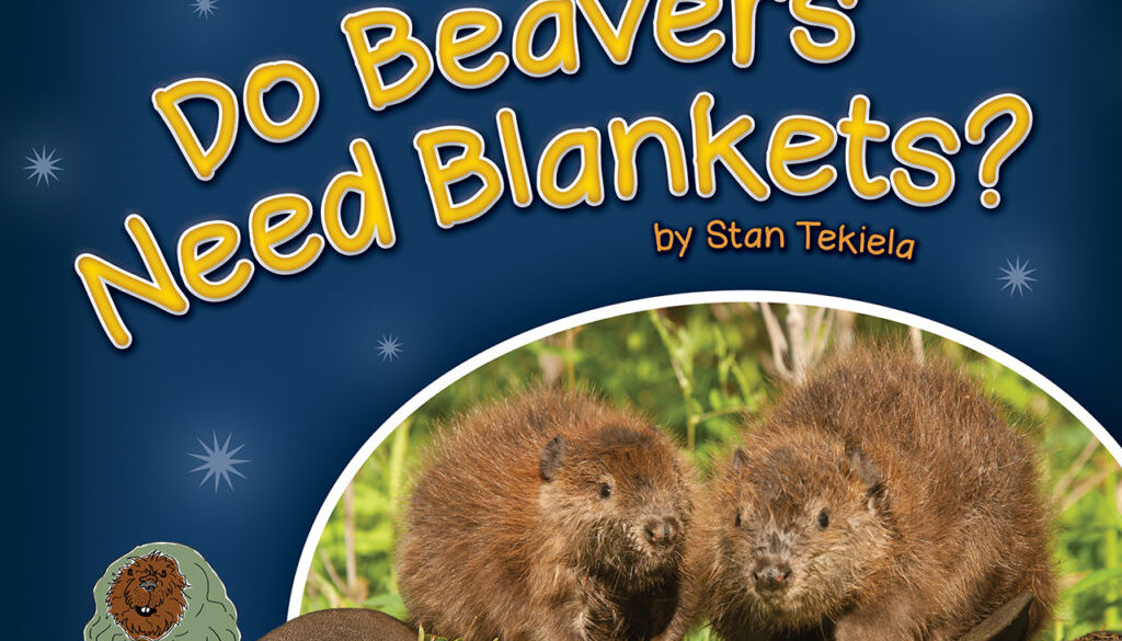 do_beavers_need_blankets_9781591934677_FC