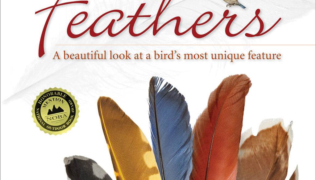 feathers_9781591934936_FC