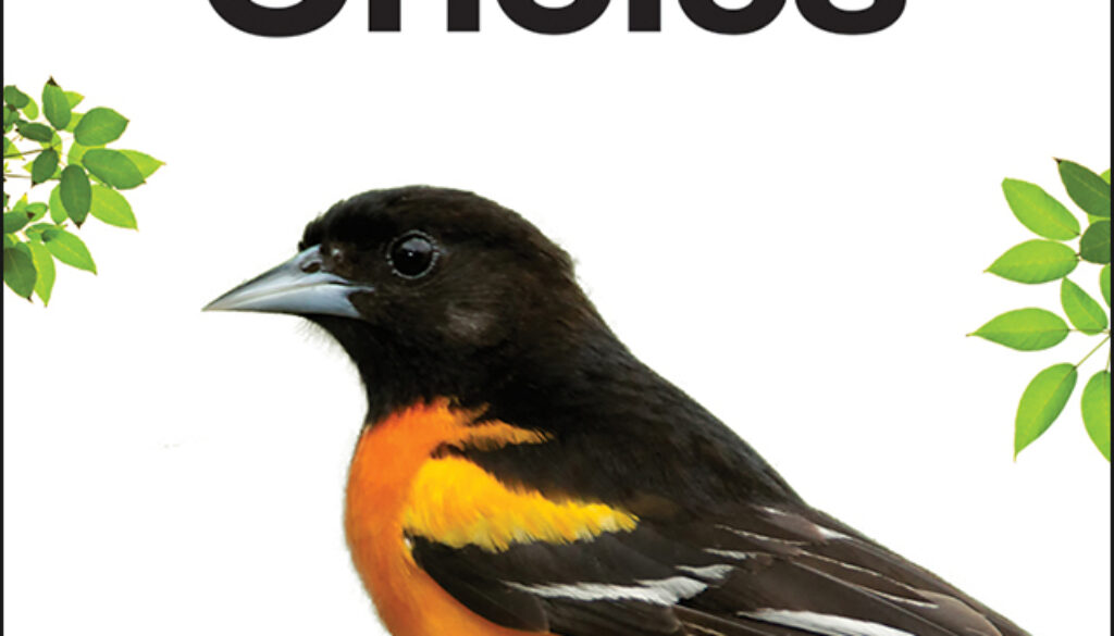 Bird Seed_Orioles covers_1-9.indd