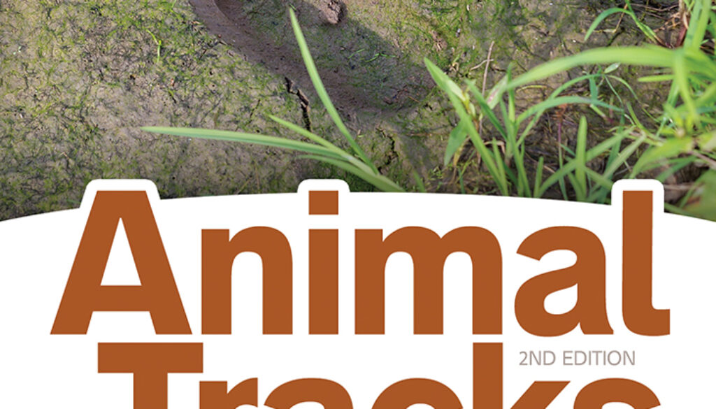 animal_tracks_of_the_midwest_2e_9781591935742_FC