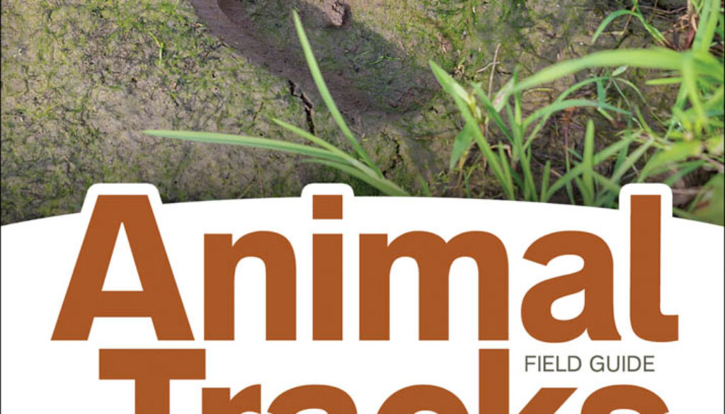 animal_tracks_of_the_midwest_2e_9781591935742_FC2
