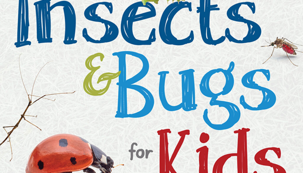 insects_and_bugs_for_kids_9781647551643_FC