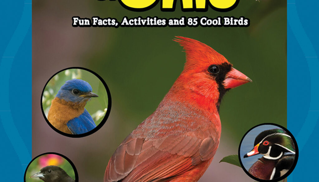kids_guide_to_birds_of_ohio_9781591938378_FC