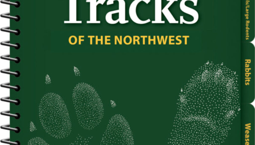animal_tracks_northwest_9781591936961_FC-scaled-1.jpg