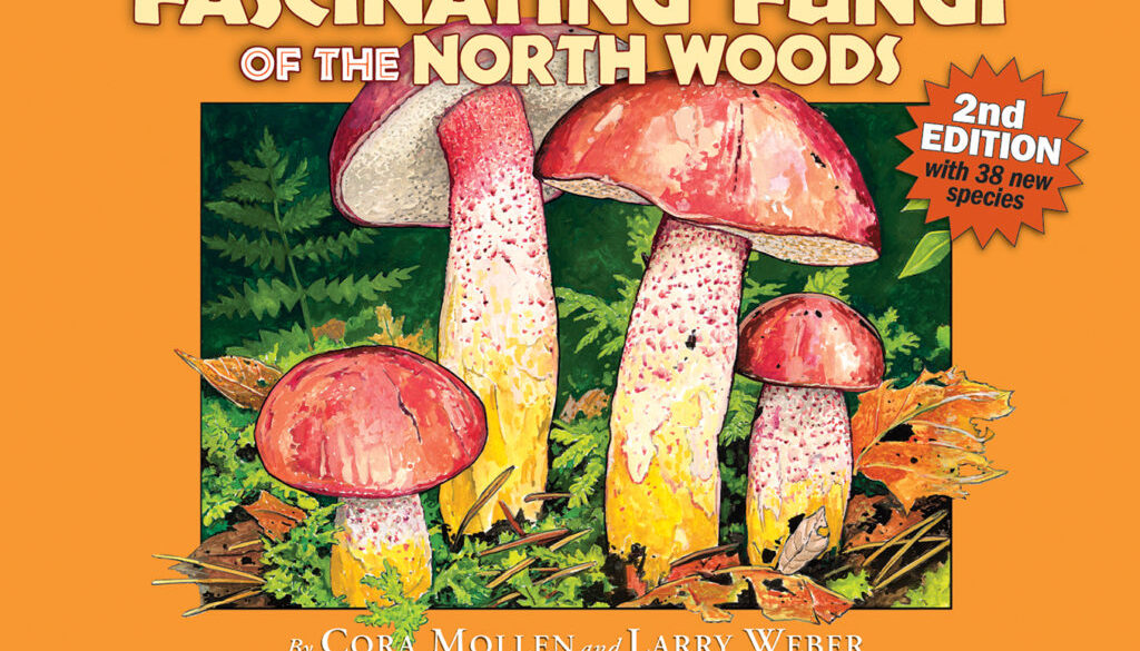 fascinating_fungi_of_the_north_woods_2e_9781936571031_FC.jpg