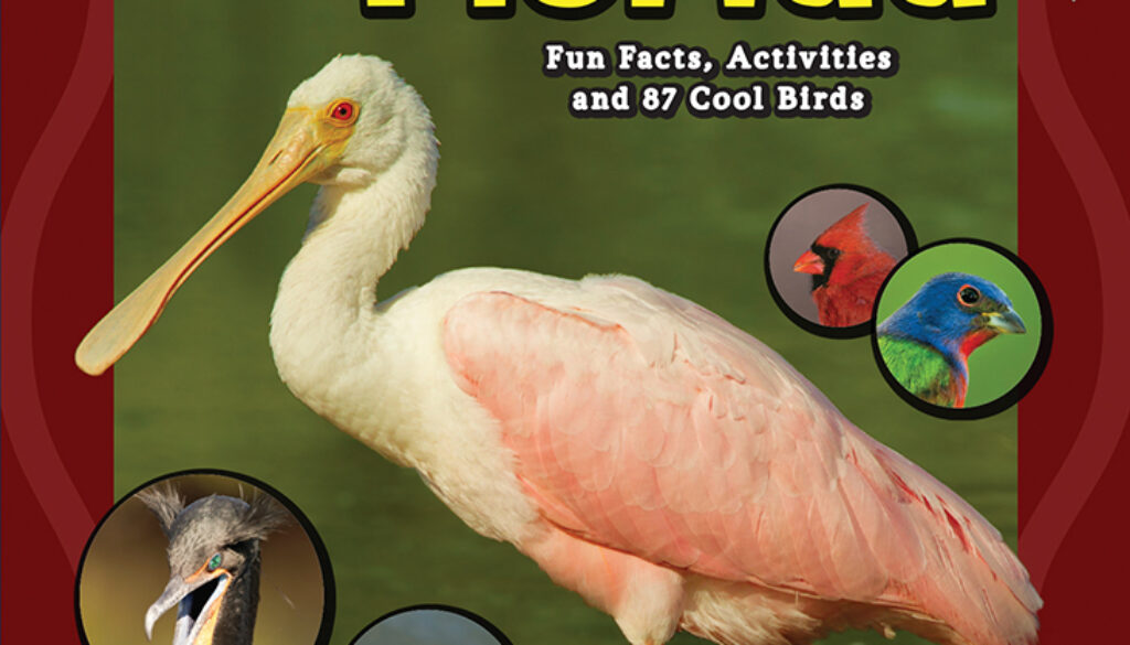 kids_guide_to_birds_of_florida_9781591938354_FC.jpg