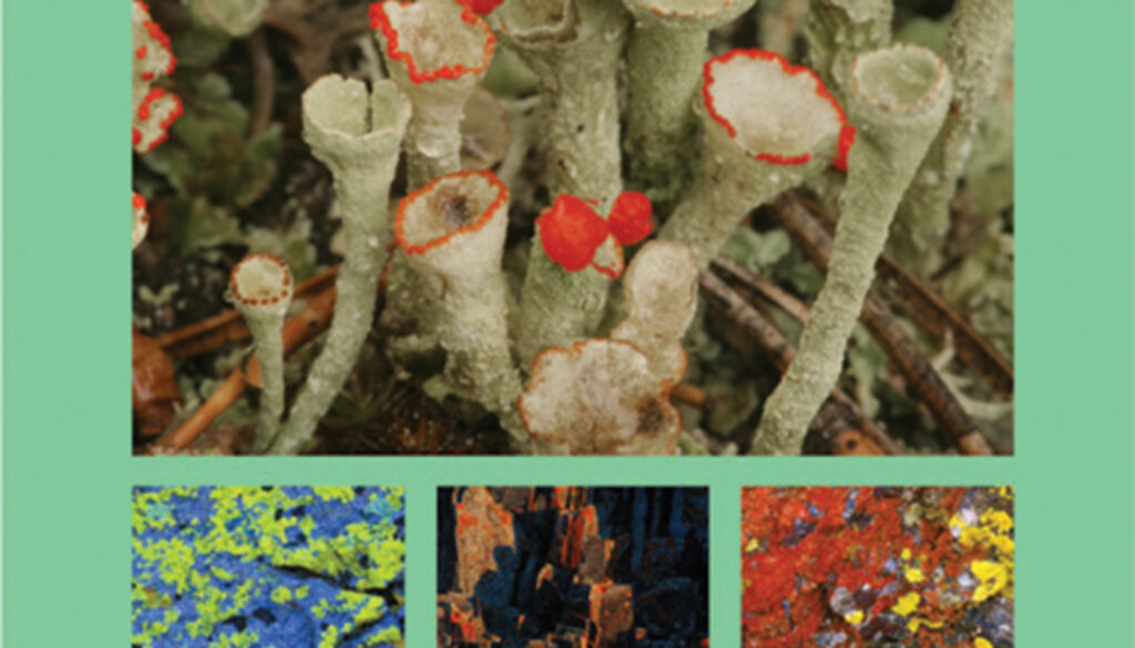 lichens_of_the_north_woods_9780979200601_FC.jpg