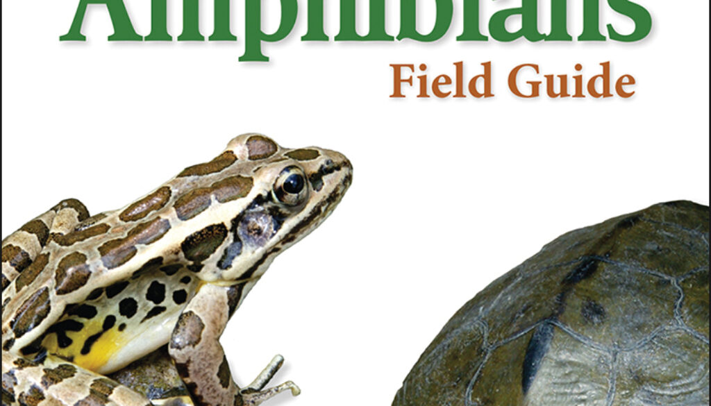 reptiles_and_amphibians_of_MN_WI_MI_9781591932802_FC.jpg