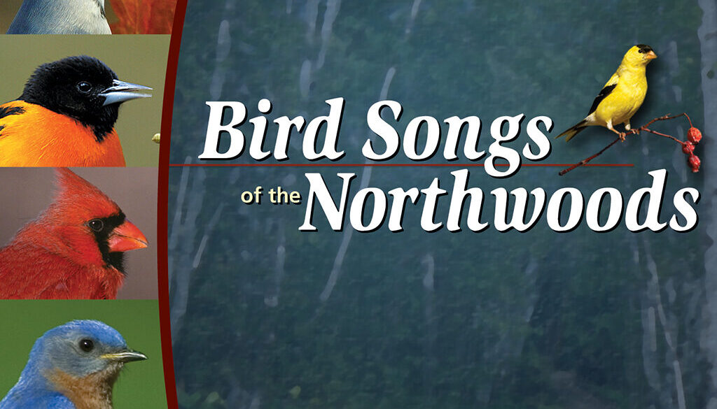 bird_songs_of_the_northwoods_cd_9781591931195_FC