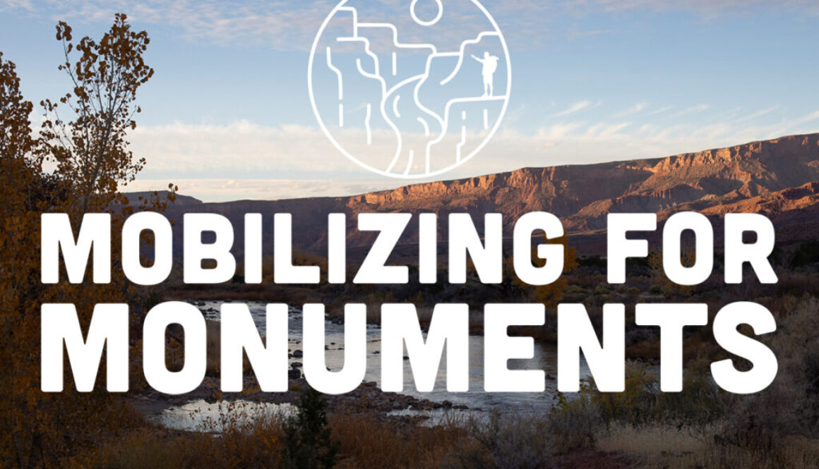 mobilizing for monuments
