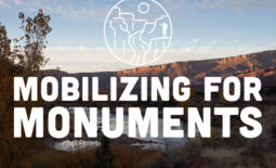 mobilizing for monuments